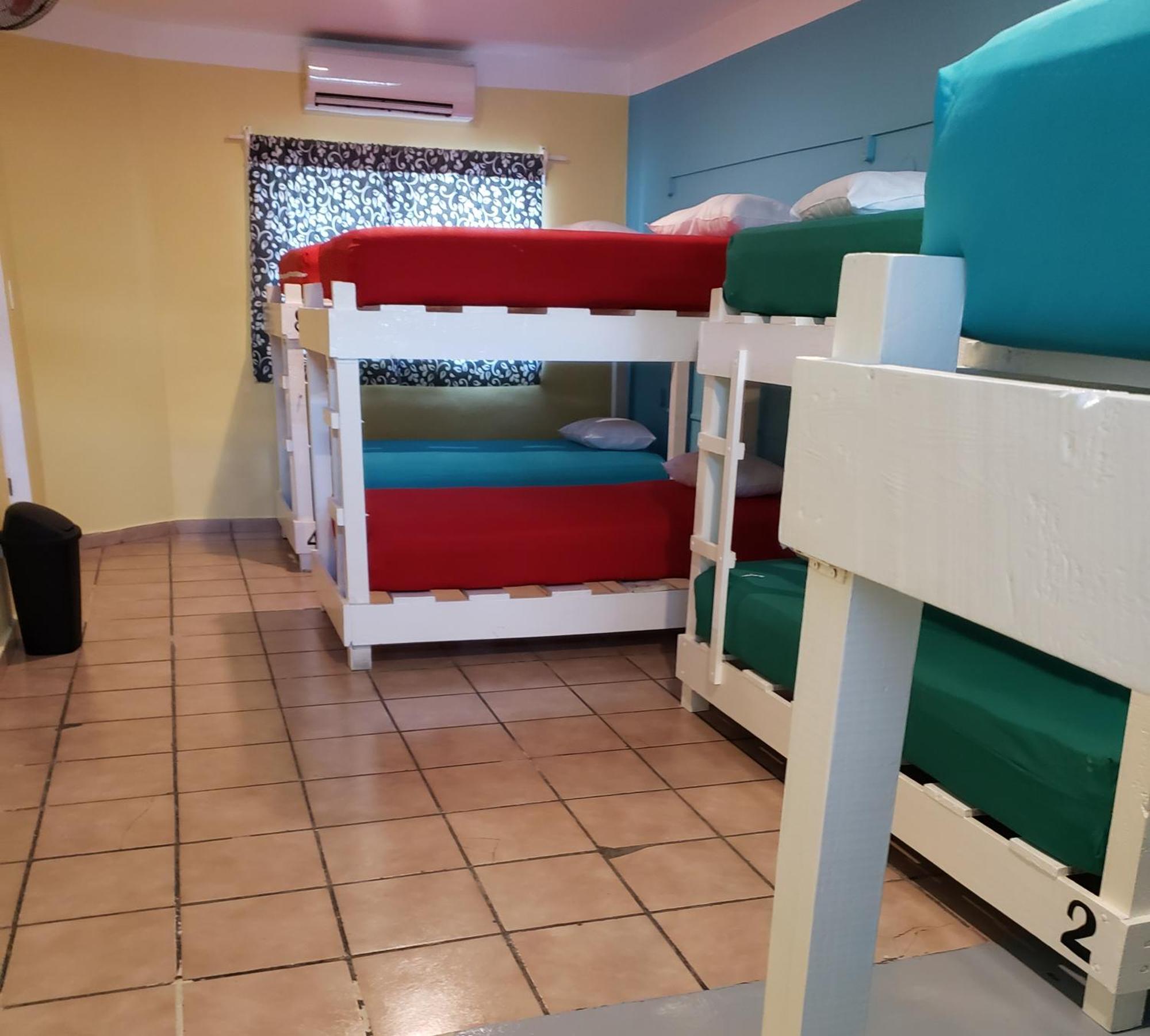 Bed in 8-Bed Female Dormitory Room,1539707956:JPEG